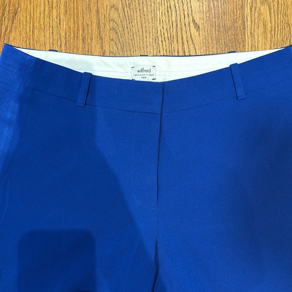 Aritzia ankle length pants